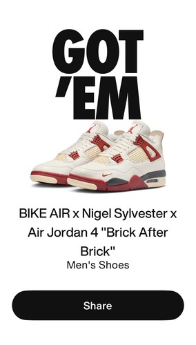 Jordan nigel sylvester - jordan, brick