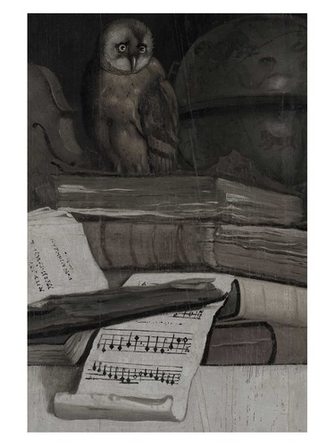 Gufo libri poster vintage - poster, |