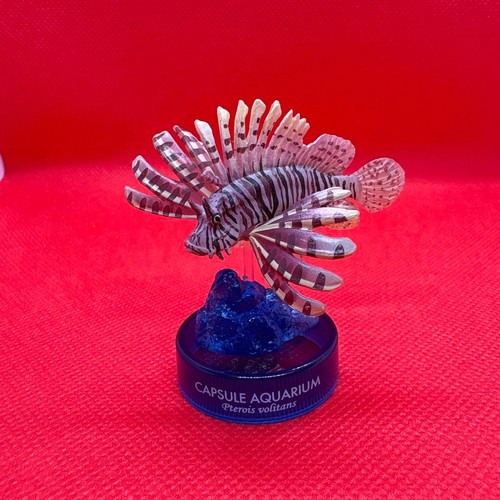 Figura capsula pesce - , acquario