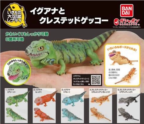 Set completo action - , figure