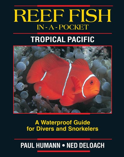 Reef fish pocket - reef, in