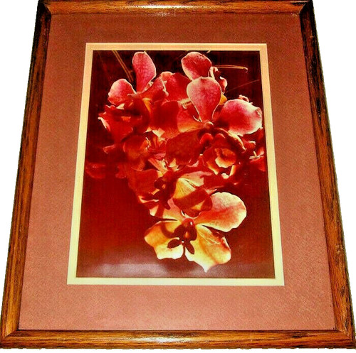 Fotografia vanda orchidee - fotografia,