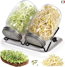 Cinnani Barattolo Germogliatore Set, Kit di Barattoli per Germogliamento di