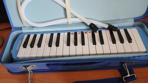 Bontempi melodica blu - bontempi,