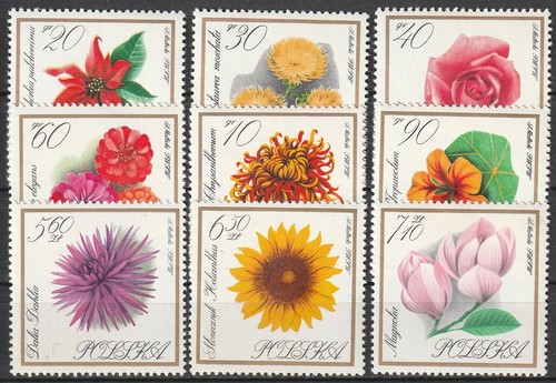 Polonia michel 1696 1704 - #, 1696-1704