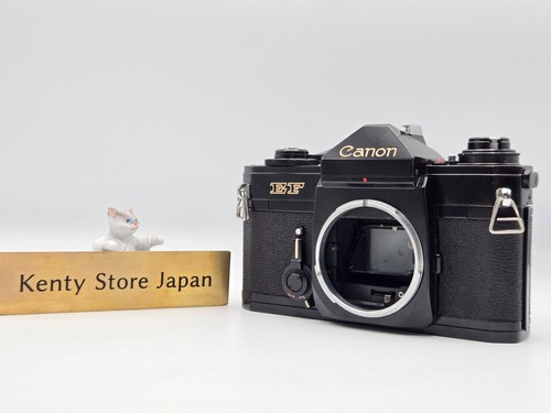 Mint corpo fotocamera - corpo,