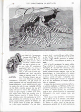 VITA COOPERATIVA IN CAMPAGNA