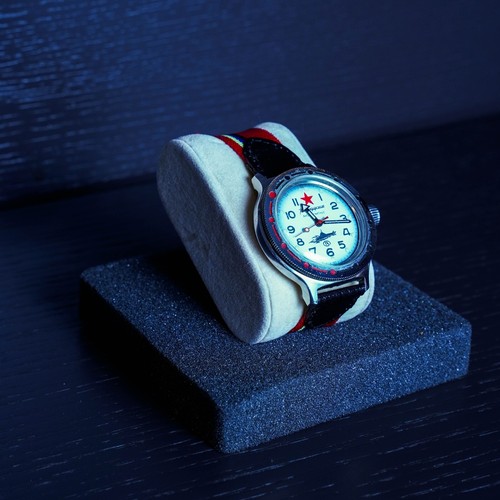 Transitional vostok amphibia - transitional,