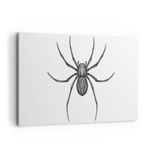 Quadro su Tela 120x80cm Ragno
