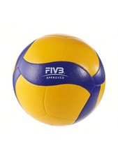 Pallone Da Pallavolo