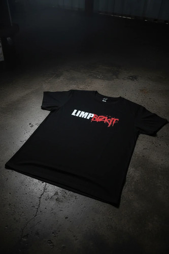 Limp bizkit shirt black - shirt,