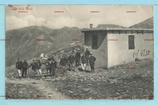 cartolina del COLLE DELLA CROCE con Militari e Mulo - Alpi Cozie - Piemonte 1916