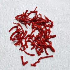 Ramo di corallo rosso naturale