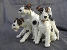 CANI CACCIA SETTER BRACCHI