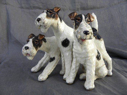 Cani caccia setter bracchi - cani,