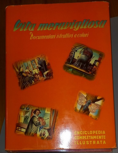 Vita meravigliosa - vita,