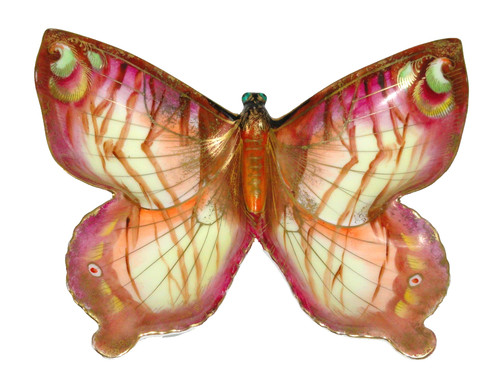 Farfalla dipinta mano da - farfalla,