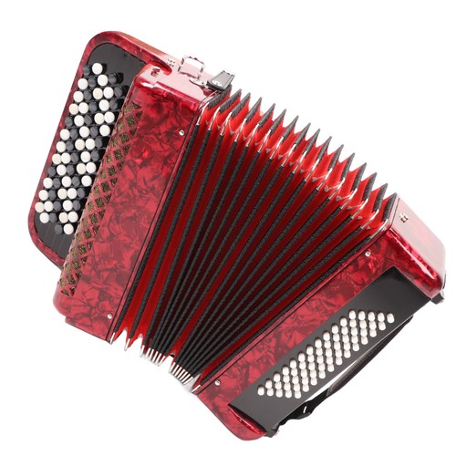 Fisarmonica tasti 60 - fisarmonica,