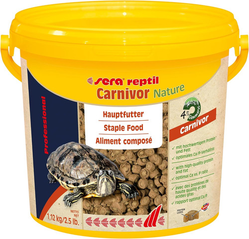 Reptil professional carnivor - reptil,