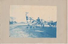 $FT/Fotografia-CAVALLI- CALESSI - BIROCCI-(Marche)-Formato 17X12 solo fotografia