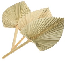 3 Pezzi Lancia di Palma Foglie