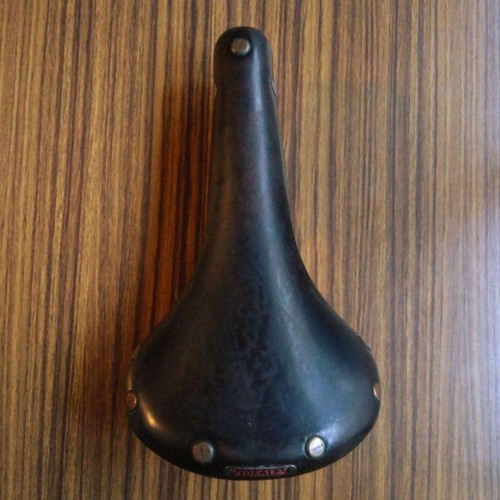 Ideale rondine sella in - rondine,