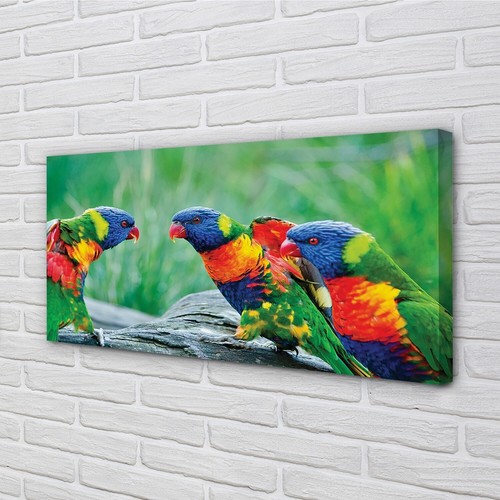 Quadro tela tulup 140x70 - tulup,