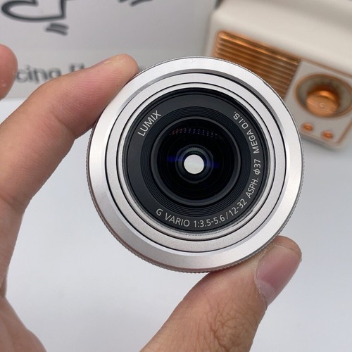 Panasonic lumix vario - g,