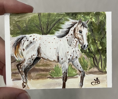 Quadro acrilico cavallo