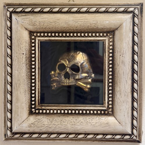 Rana totenkopf placca - rana,
