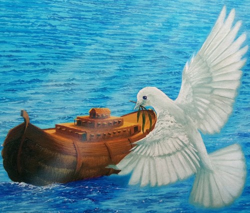 Sue nelson arca noah - sue, ~