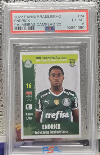 2022 panini brasileirao - panini,