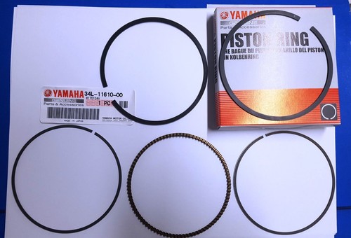 Kit fasce elastiche segmenti - elastiche,