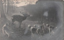 60-RUNNING HUNTING PAINT BY