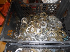 Pignoni regina oro, extra e america