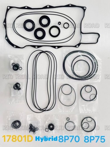 Kit guarnizioni revisione