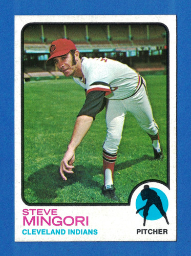 1973 topps 532 - 1973,