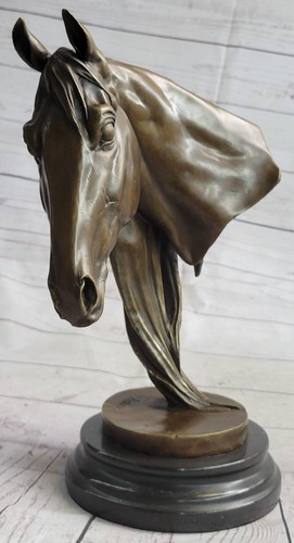 Testa cavallo arabo in - di,