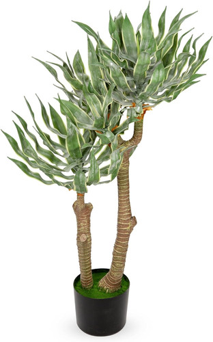 Pianta agave artificiale - pianta, di