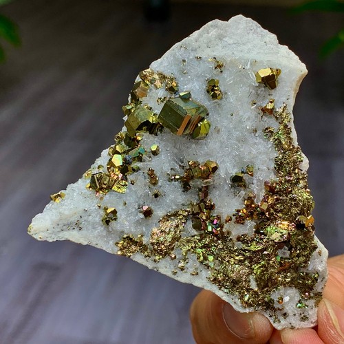 65g pirite iridescenza - 65g,