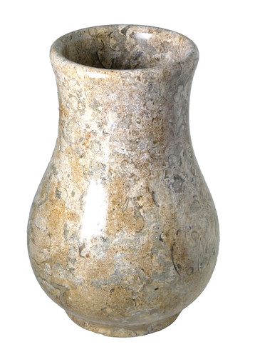 Vaso roccia - , fossile