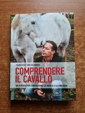 DE GIORGIO - COMPRENDERE IL