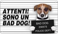 CARTELLO SEGNALETICO - Attenti al cane jack russel, SONO UN BAD DOG - segnale