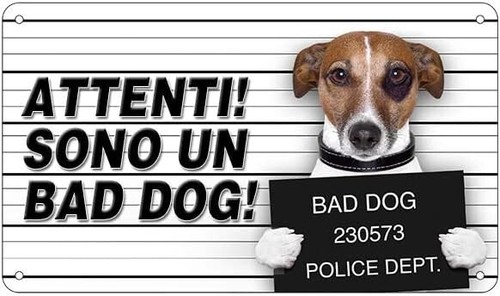 Cartello segnaletico attenti - segnaletico,