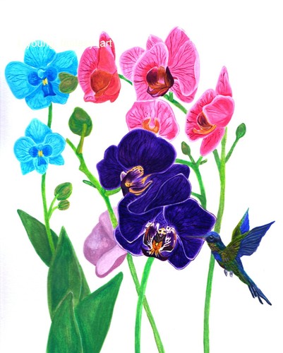 Quadro originale orchidee - quadro,