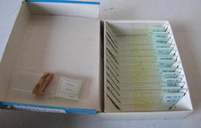 Prepared microscope - prepared,