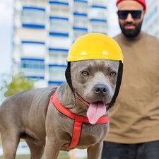  Casco Regolabile Per Animali