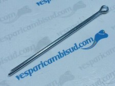COPPIGLIA TAMBURO POSTERIORE
