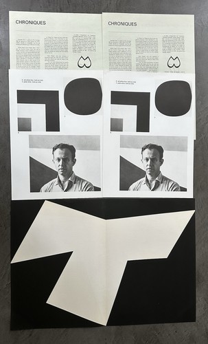 Ellsworth kelly litografia - ellsworth,