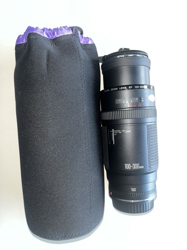 Canon 100 300mm 6 - f/5.6, l